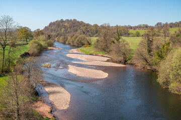 A view of the River Towy from Llandeilo Bridge, with winding water channels, pebbled sandbanks, and lush green countryside in the town Llandeilo in Carmarthenshire, Wales