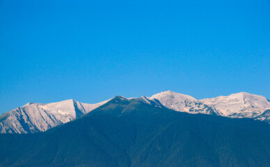 View to mountain, forest and blue sky