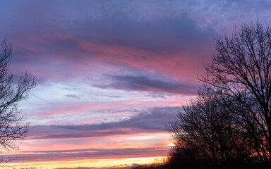 sunset in the forest