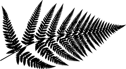 Elegant black and white silhouette of a detailed fern frond perfect for natural design projects and botanical art © Vectors Studio