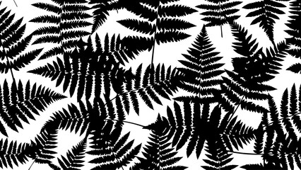 Stunning dense pattern of overlapping fern frond silhouettes creating an elegant natural repeating design element © Vectors Studio