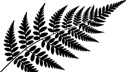 Elegant detailed silhouette of a lush fern frond perfect for natural design accents and botanical projects © Vectors Studio