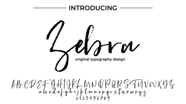 Zebra - Elegant Script Font for Smooth Handwritten Design and Creative Typography