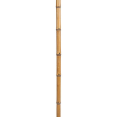 Bamboo stick with transparent background showcases natural beauty and versatility. Ideal for various decorative and functional uses