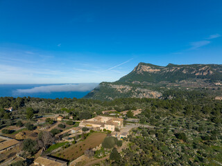 Fototapeta premium Aerial view, Spain, Balearic Islands, Mallorca, Valldemossa, agricultural property
