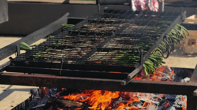 Festival Cal&ccedil;otada in Barcelona, Cal&ccedil;ot is a type of green onion. Green onion cooking on the fire.