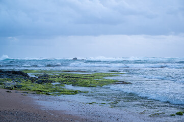 Scenic view of the ocean against sky, with green algae covered rock in the foreground, Wreck Beach, Great Ocean Road, Victoria, Australia