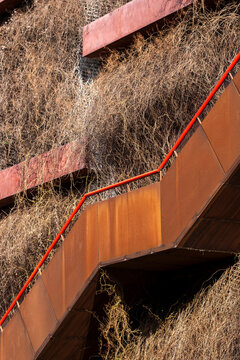 Copenhagen urban landscape merging modern architecture with nature, vegetation and green design through an outdoor environment defined by metal surfaces, shadows and geometric balance