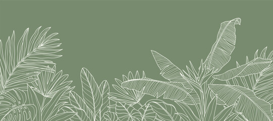 Tropical leaves background vector. Natural jungle monstera palm leaves design in minimal pale green color with contour line art. Design for fabric, print, cover, banner, decoration, wallpaper. © babeer