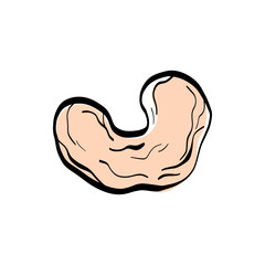 Minimal cashew illustration doodle. Great for vegan products, healthy snack packaging, deli branding, ingredient labels, raw food promotions, and organic ingredient designs