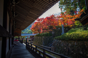 Kyoto's Komyoji Temple in late autumn, Japan