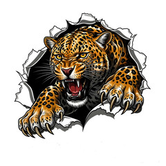 portrait of a leopard on transparent background