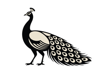 Fototapeta premium Elegant black and white peacock illustration showcasing its beautiful plumage