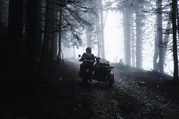Motorcyclist with a sidecar Ural motorcycle riding through a pine forest on offroad in autumn