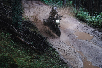 Motorcyclist riding through a pine forest on offroad in autumn
