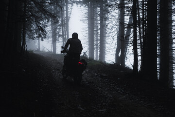Motorcyclist riding through a pine forest on offroad in autumn