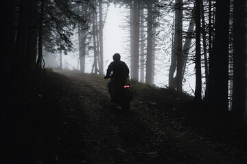 Motorcyclist riding through a pine forest on offroad in autumn
