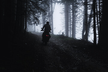 Motorcyclist riding through a pine forest on offroad in autumn