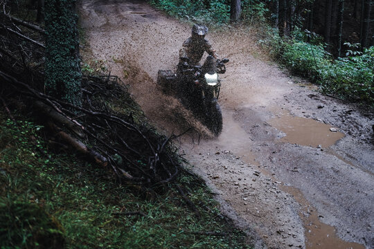 Motorcyclist riding through a pine forest on offroad in autumn