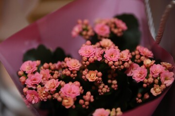 bouquet of flowers
