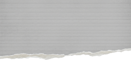 Torn lined paper edge isolated on transparent background