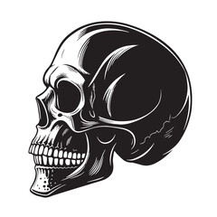 Black skull Silhouette Vector, High Quality Illustration on White Background