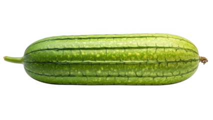 Green ridged gourd vegetable with yellow speckles on black background ridge gourd