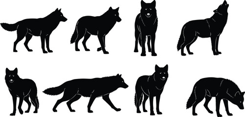 Wolf silhouette collection, black wolves in motion, howling, standing, walking, animal poses, wild nature, predator, fur texture, anatomy study