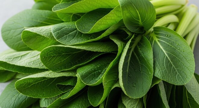 Vibrant close up photograph of fresh, healthy green bok choy, showcasing its crisp leafy texture and succulent stalks, ready for culinary use as a