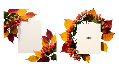 Fall leaves and hypericum berries framing blank cards for autumn concepts