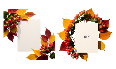 Fall leaves and hypericum berries framing blank cards for autumn concepts