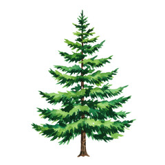 Fototapeta premium A detailed pyramidal fir tree illustration in vibrant emerald and forest green watercolor hues, isolated on a transparent background with delicate brush strokes. Concept for winter holiday design