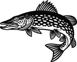 Northern pike fish detailed vector illustration