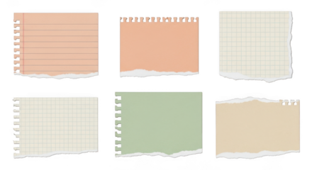 Collection of torn notebook paper pieces isolated on transparent background