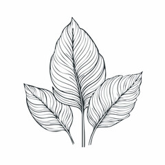 Tropical Leaves Monoline Illustration