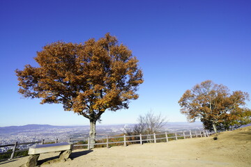 奈良 若草山頂から見た風景