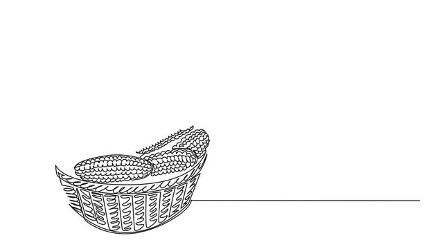 Self drawing animation of single line draw of corn cobs neatly arranged in a woven basket, showing freshness. This nature concept artwork highlights National Corn on the Cob Day. Full length animated
