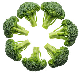 Seven fresh broccoli florets arranged in a circle shape isolated on transparent background for healthy eating concept