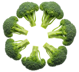 Seven fresh broccoli florets arranged in a circle shape isolated on transparent background for healthy eating concept