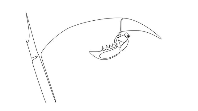 Animation of single line drawing of a june bug hanging under a leaf, reflecting nature concept and June Bug Day theme, emphasizing ecological, insect life cycles, and environmental. Full length motion