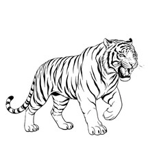 Black and white animal vector illustration