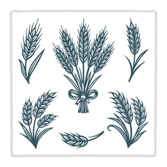 Vintage hand-drawn vector set of wheat elements featuring bundles, stalks, and grain heads. Suitable for wheat, rye, barley, and oats themes. Perfect for bakery, farm, harvest, and organic branding. 