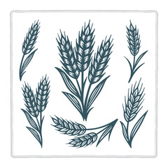 Naklejka premium Vintage hand-drawn vector set of wheat elements featuring bundles, stalks, and grain heads. Suitable for wheat, rye, barley, and oats themes. Perfect for bakery, farm, harvest, and organic branding. 