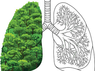 Creative lungs illustration combining forest and respiratory system, symbolizing nature, environment, health, clean air, ecology, conservation, sustainability, and biological awareness concepts