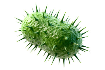 Fototapeta premium Green spiky microorganism illustration showing bacterial structure