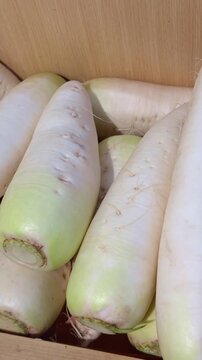 Fresh Daikon Radishes at Market Stall