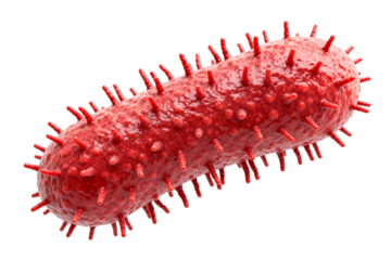 Detailed view of a red bacterium with numerous spikes