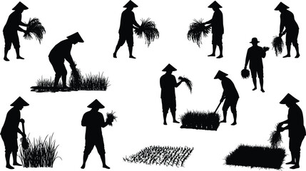 Rice farming silhouettes with traditional hats, agricultural labor poses, rural field work illustration for culture, education, and design use