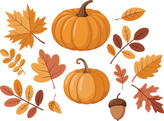 Autumn illustration set featuring pumpkins, fall leaves, acorn, foliage elements, seasonal decorations perfect for Thanksgiving, harvest, cozy autumn design themes