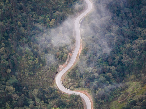 Aerial view of a winding road cutting through dense green forests, partially veiled by ethereal mist, Chele La Pass, Paro, Bhutan.
